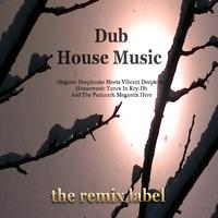 Dub House Music