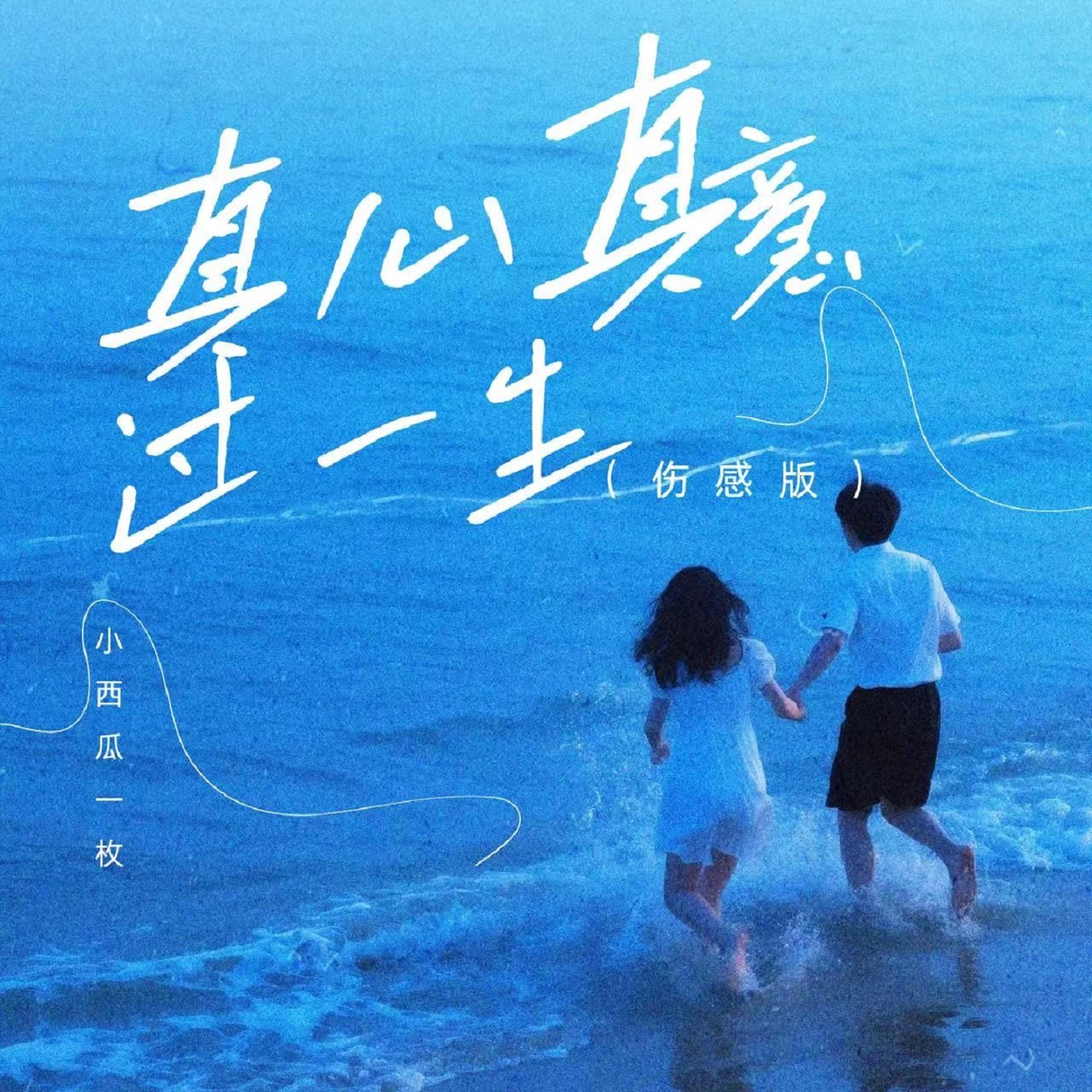 真心真意过一生 (伤感版)封面