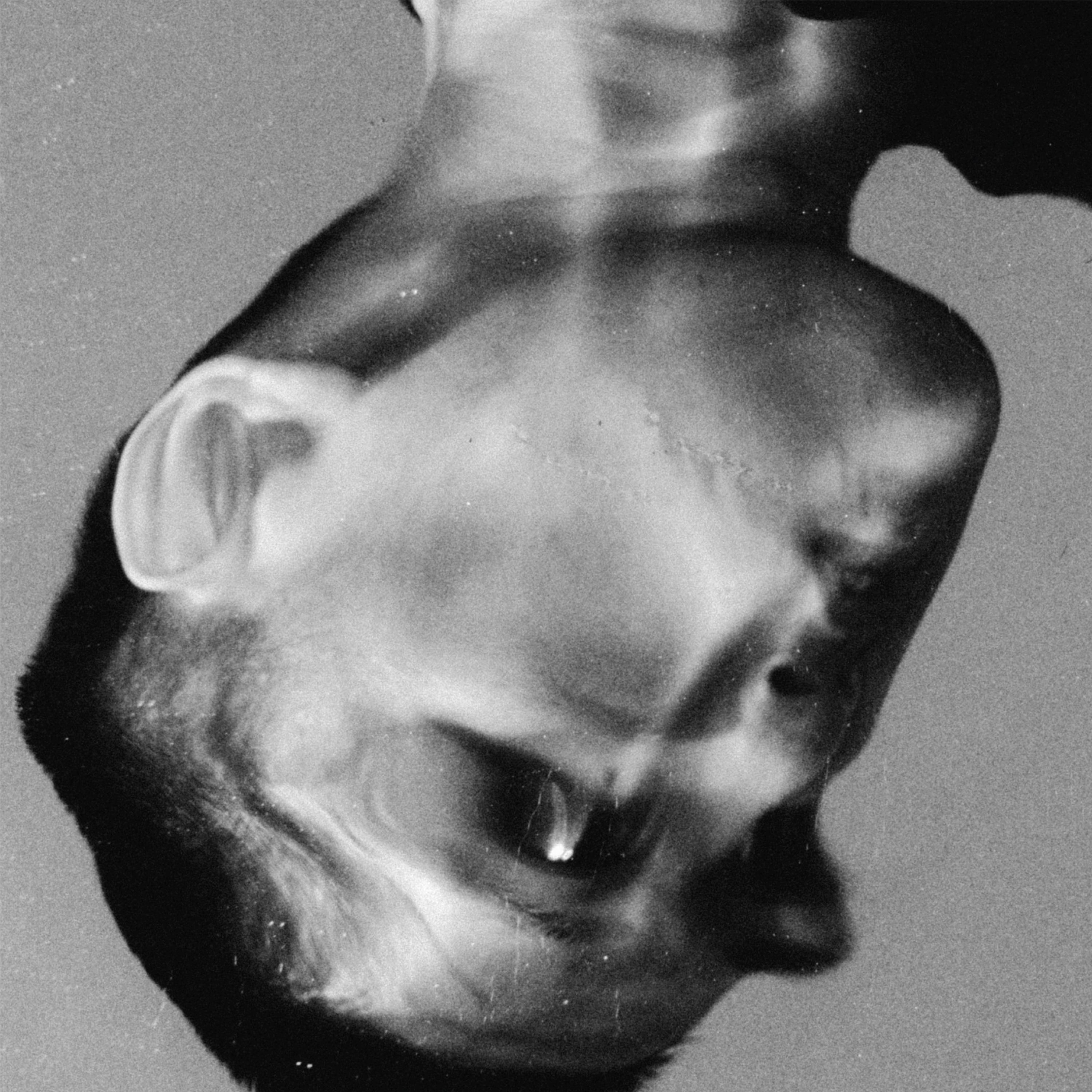 BLOOD SWEAT TEARS AND GEARS banner