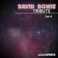 David Bowie Tribute, Set 4