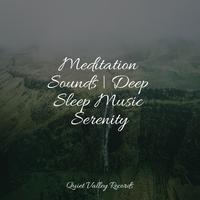 Meditation Sounds | Deep Sleep Music Serenity