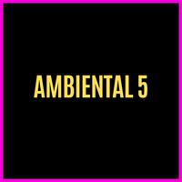 Ambiental 5