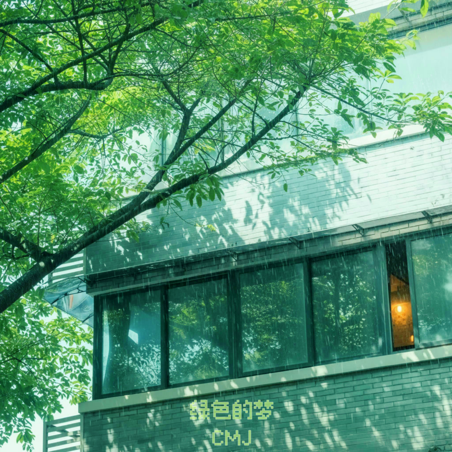 绿色的梦