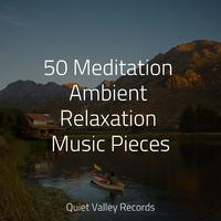 50 Meditation Ambient Relaxation Music Pieces