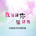她在睡梦中 (DJ版)封面