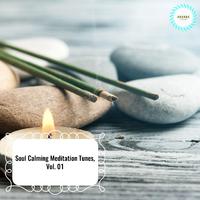 Soul Calming Meditation Tunes, Vol. 01