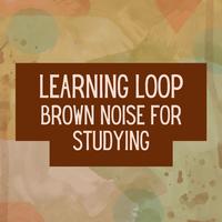 Learning Loop Brown Noise for Studying