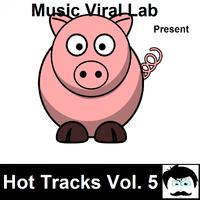 Hot Tracks Vol. 5