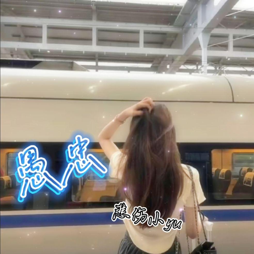 愚忠封面