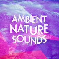 Ambient Nature Sounds