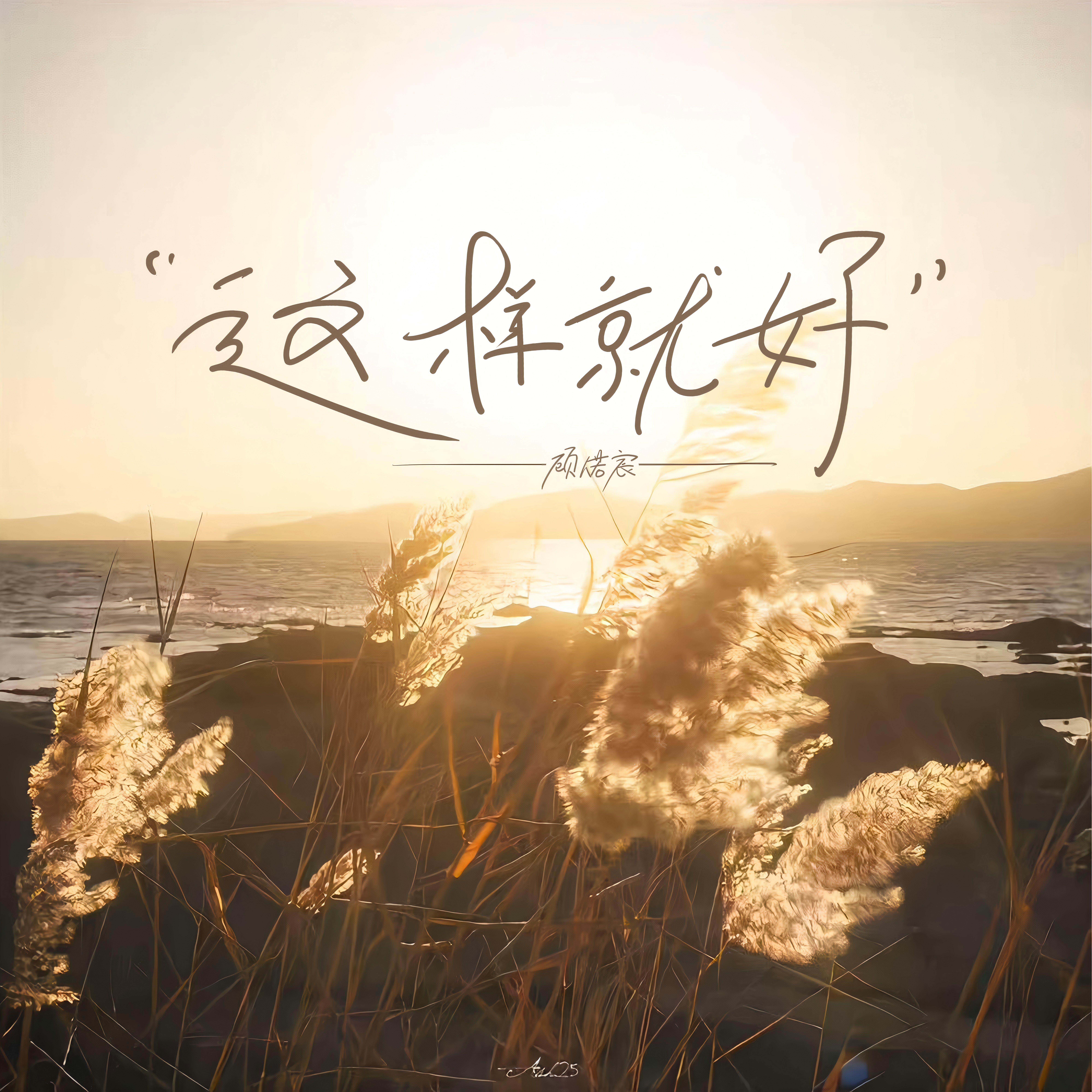 这样就好 - 顾偌宸封面