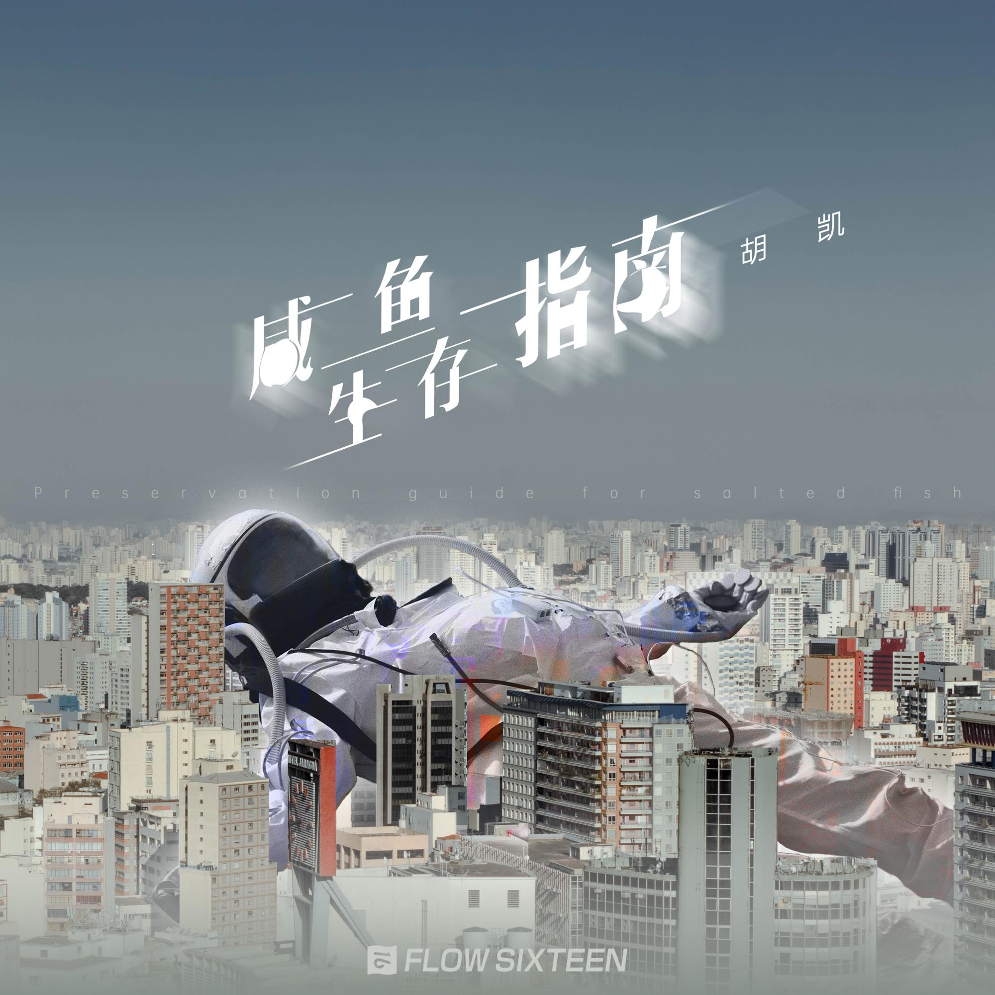 咸鱼生存指南 - 胡凯封面