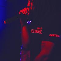 Kuttybear