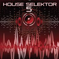 House Selektor, Vol. 5