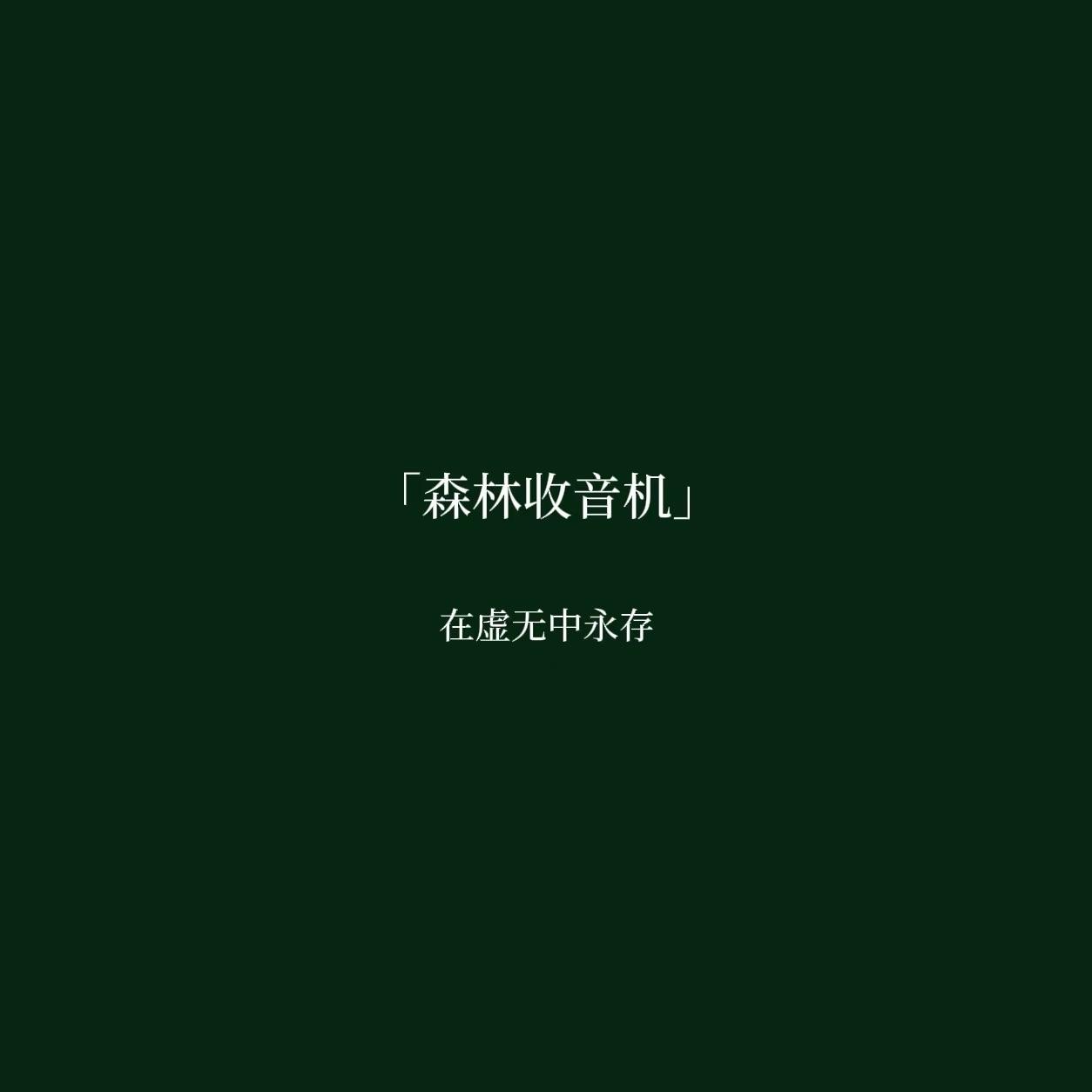 森林收音机