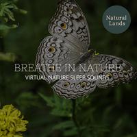 Breathe in Nature - Virtual Nature Sleep Sounds