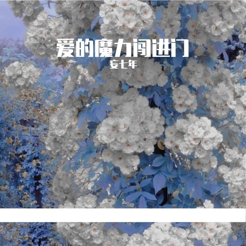 爱的双重魔力封面