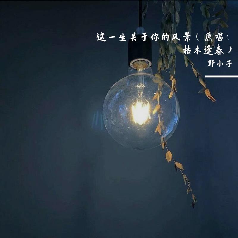 这一生关于你的风景封面