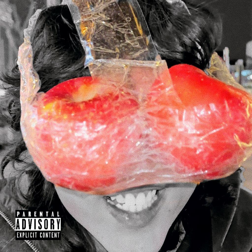 Apple pro vision PRO