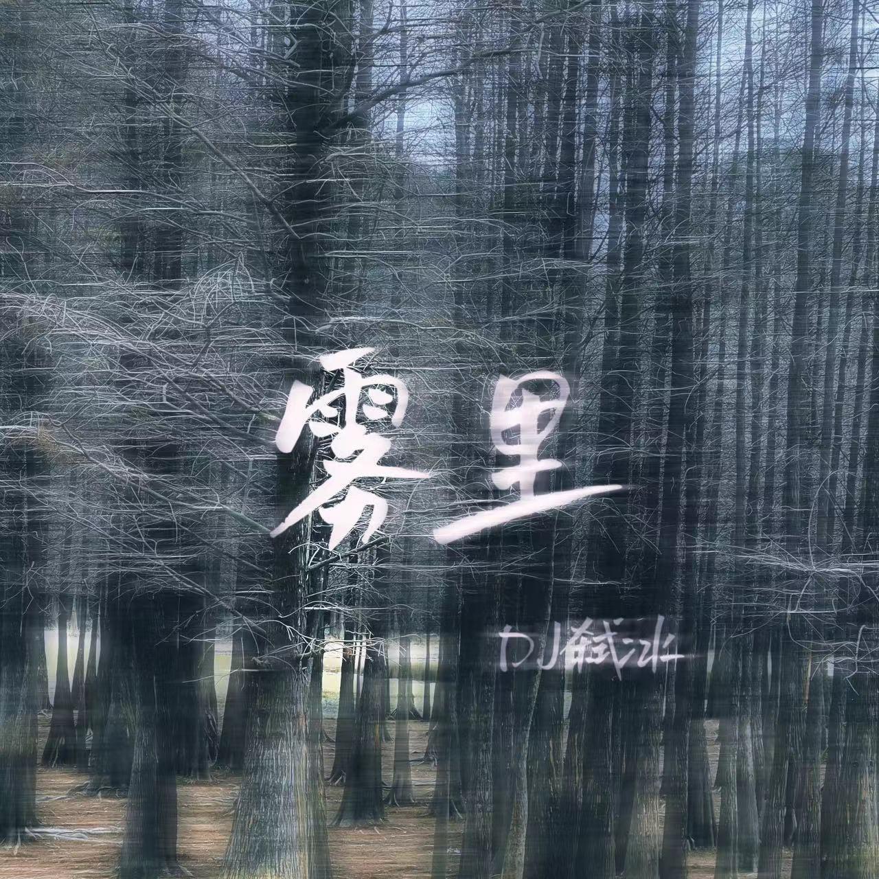 雾里 (DJ版)封面
