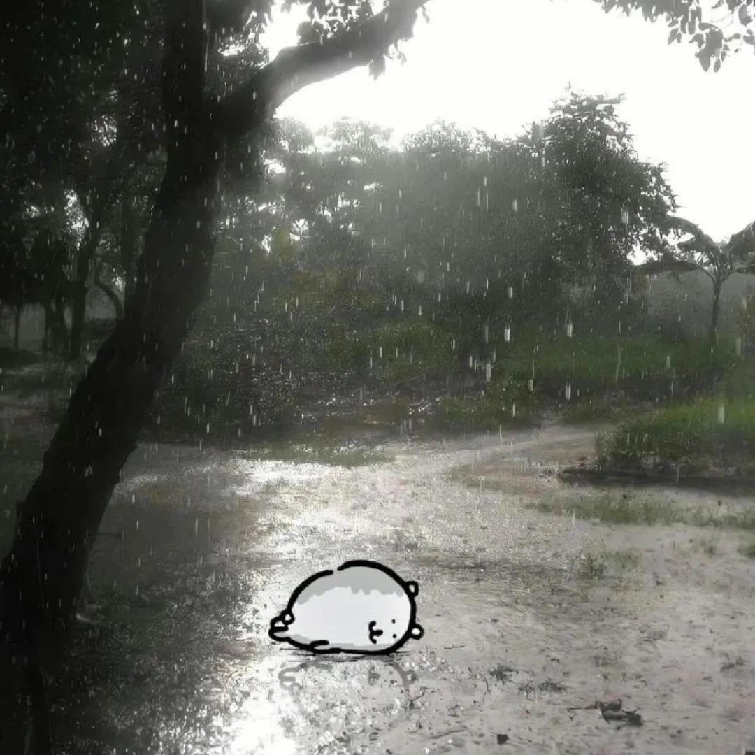 ☁✦₊小雨滴絡偓檐下Part.2