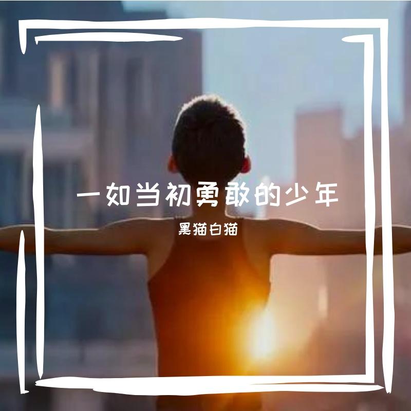 一如当初勇敢的少年封面
