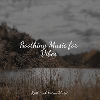 Soothing Music for Vibes