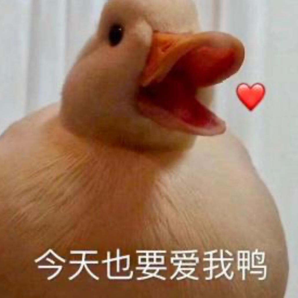 看好你的女友封面