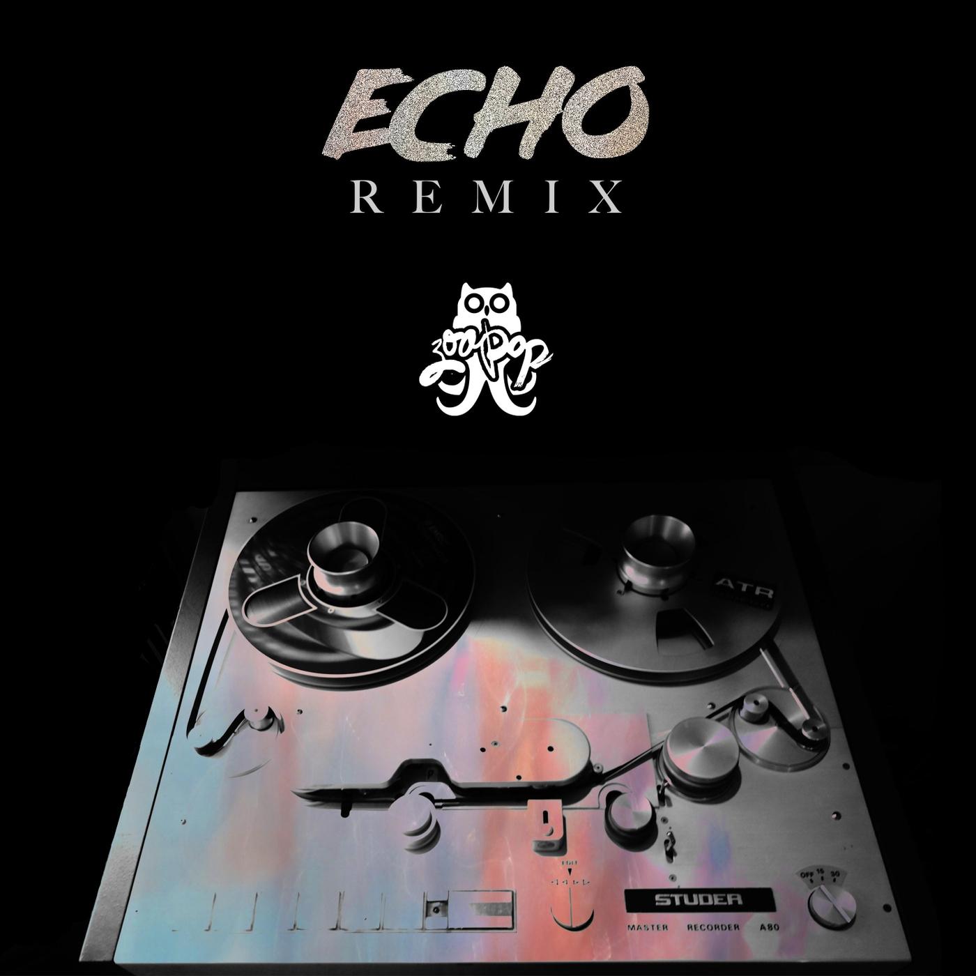 Echo (Zoo Pop Remix)