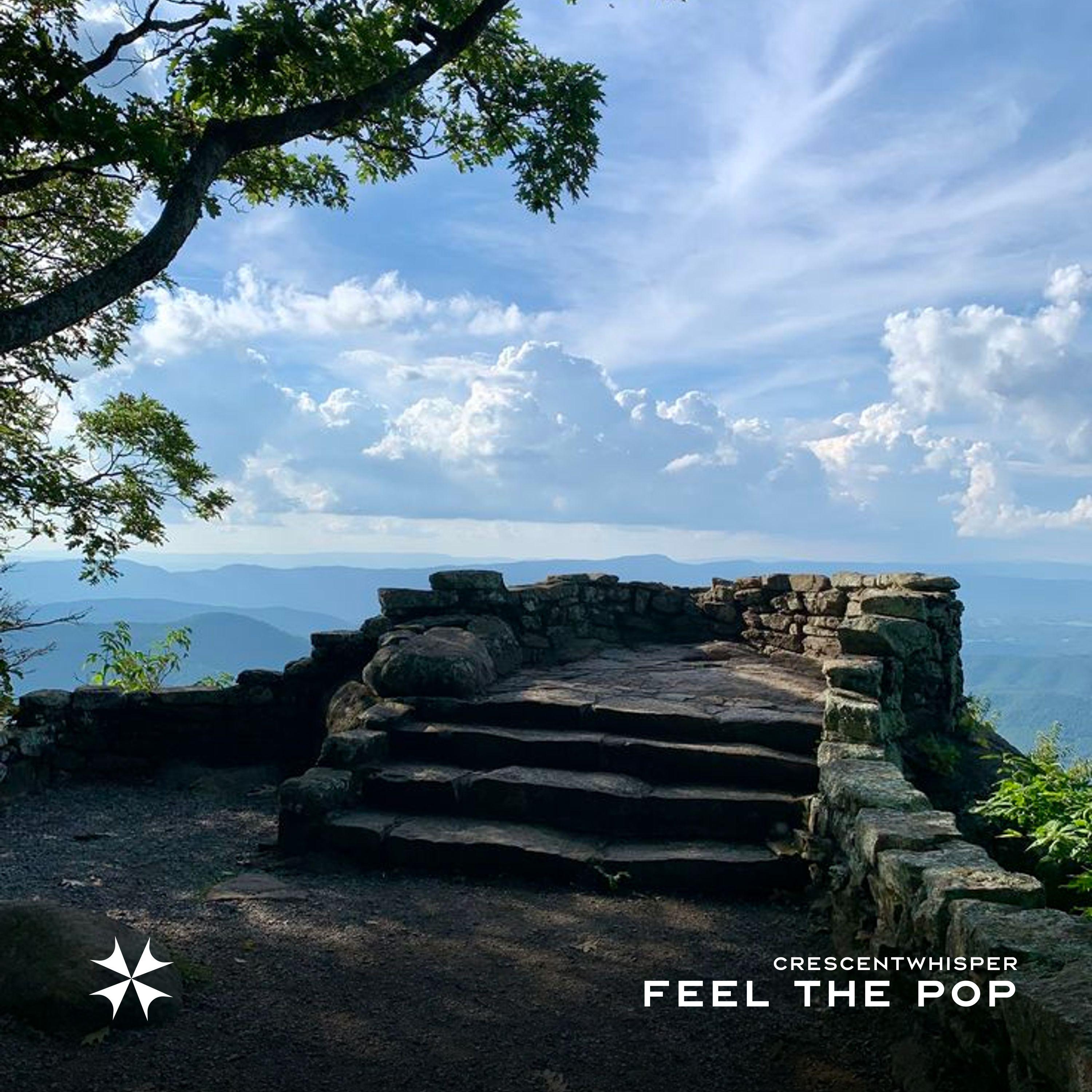 Feel The Pop (speed up) - crescentwhisper封面