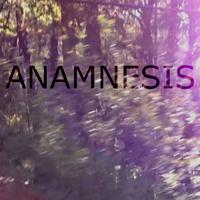 Anamnesis