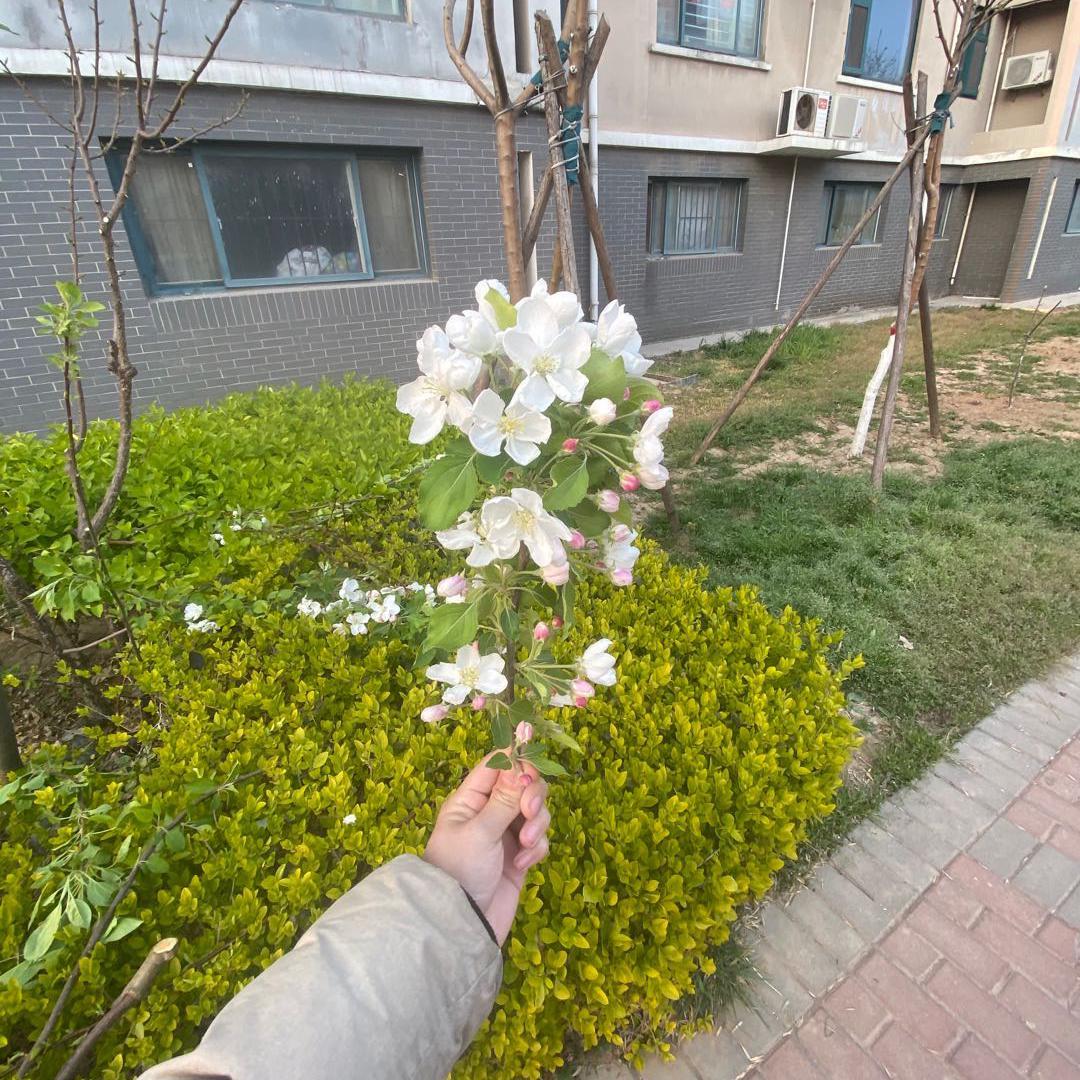 風の住む街封面