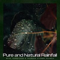 Pure and Natural Rainfall