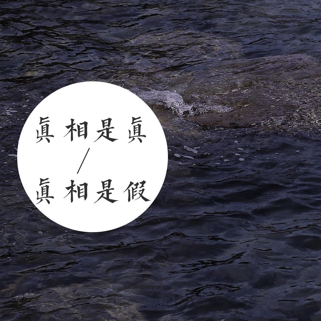 真相是假 - 非鱼封面