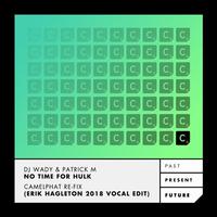 No Time For Hulk (Camelphat Re-Fix) - (Erik Hagleton 2018 Vocal Edit)