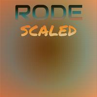 Rode Scaled