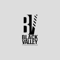 Black Valley Studio