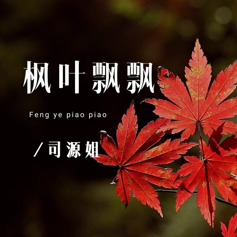 枫叶飘飘封面