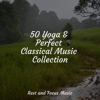 50 Yoga & Perfect Classical Music Collection