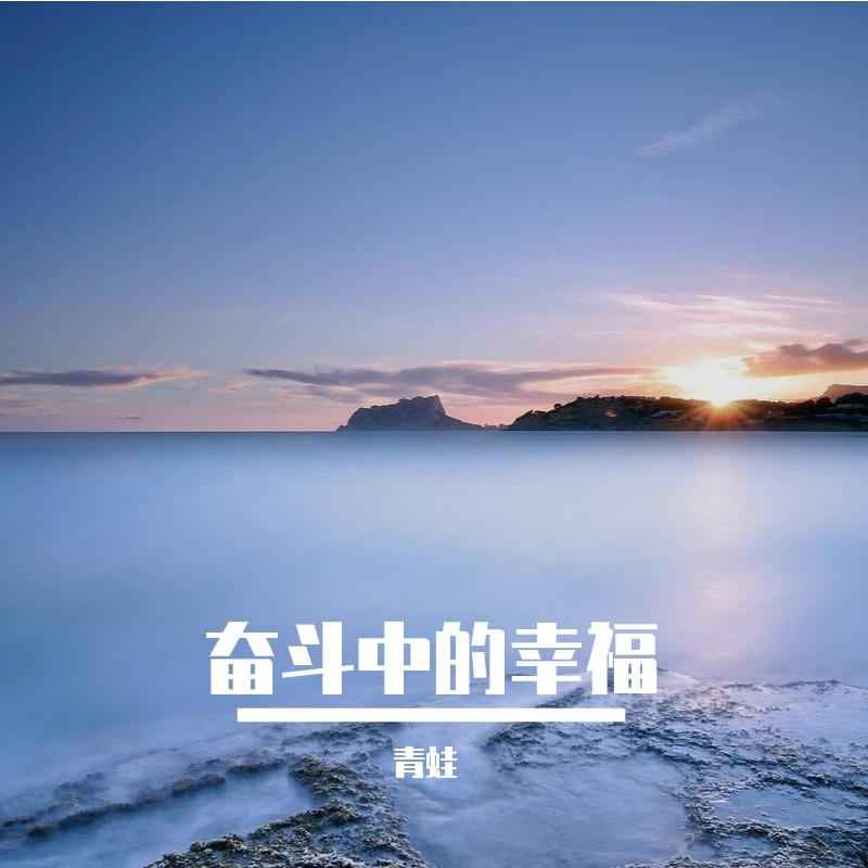奋斗中的幸福封面