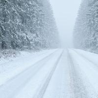 Walking In The Snow