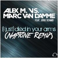 (I Just) Died in Your Arms [Naptone Remix]