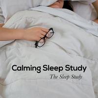 The Sleep Study - White Noise: Sound Hall