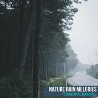 Nature Rain Melodies - Torrential Rainfall