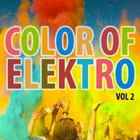 Color of Elektro Vol. 2