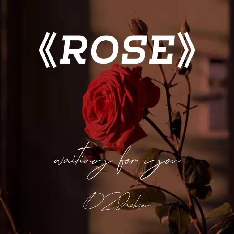 玫瑰ROSE