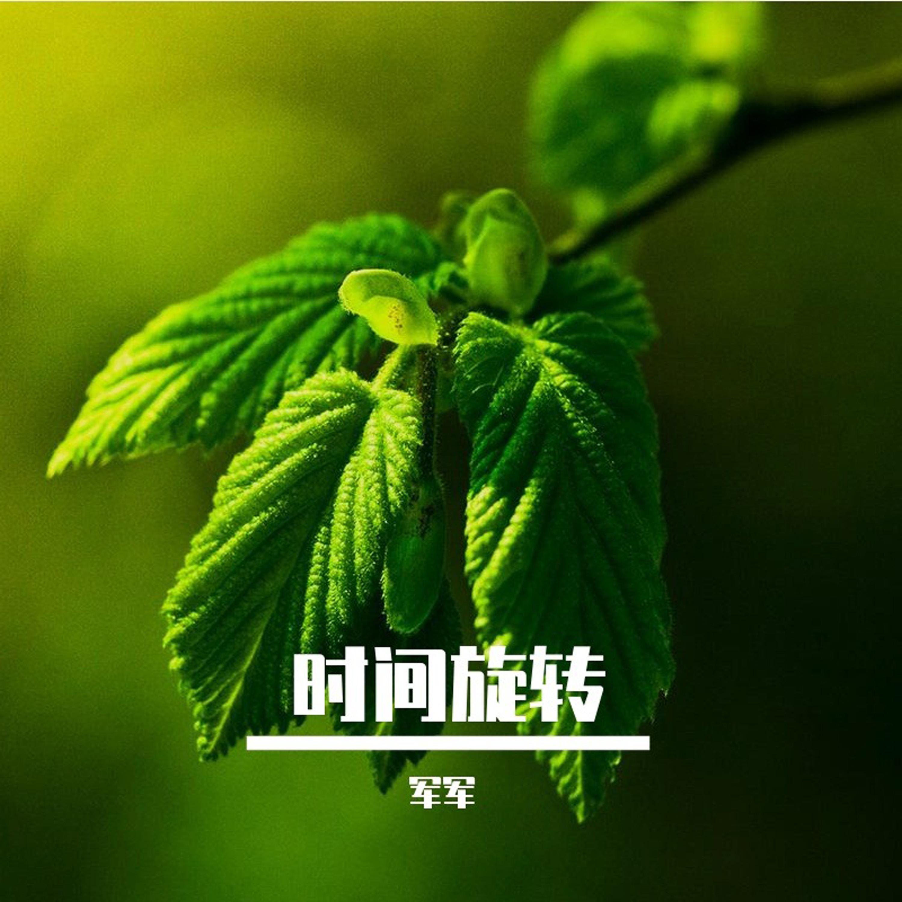 日出时让街灯安睡 (精美音乐) - 军军封面