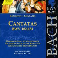 BACH, J.S.: Cantatas, BWV 182-184