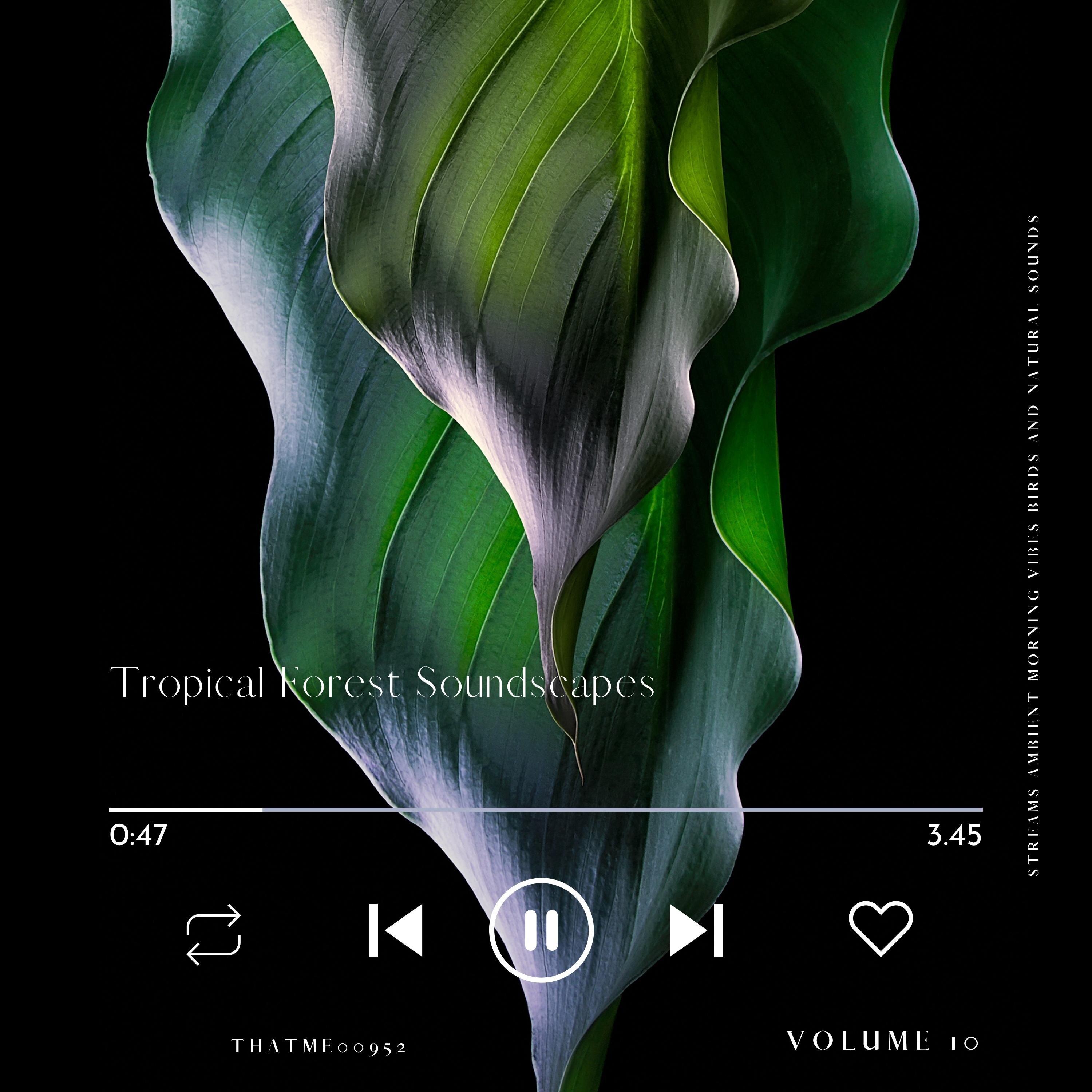 Relaxing Haven by the Tropical Forest, Pt. 21_Ambiworld_Tropical Forest Soundscapes - Streams Ambient Morning Vibes Birds and Natural Sounds, Vol. 10 | 在线播放_Relaxing Haven by the Tropical Forest, Pt. 21歌词_Relaxing Haven by the Tropical Forest, Pt. 21下载 | 网易云音乐