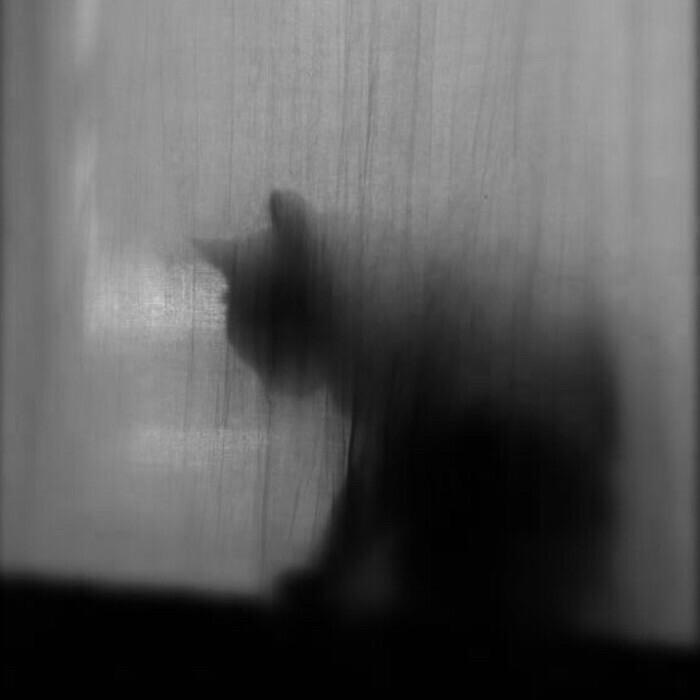 “怎么生活？”